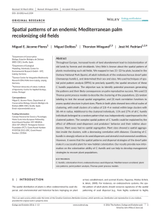 Spatial patterns of an endemic Mediterranean palm recolonizing old