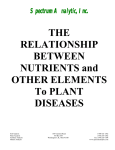 The Relationship Between Nutrients and Other Elements to Plant