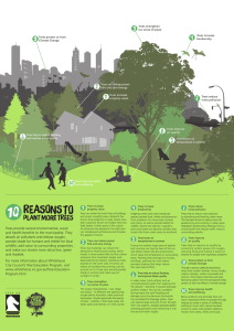 Trees provide several environmental, social and health benefits to