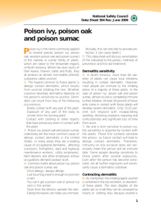 Poison ivy, poison oak and poison sumac