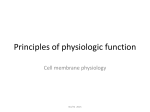 Principles of physiologic function