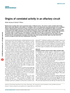 Origins of correlated activity in an olfactory circuit