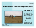 Native Species for Reclaiming Sandy Soils