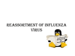 reassortment_of_influenza_virus[1]