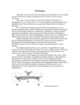 Fibrinogen Fibrinogen was first isolated from horse plasma by