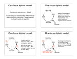 One-locus diploid model One-locus diploid model