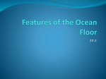 Features of the Ocean Floor