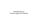 Biochemistry of human organs and tissues