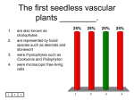 The first seedless vascular plants ______.