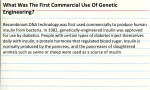 What Was The First Commercial Use Of Genetic Engineering?
