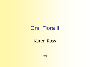 Oral Flora II - student.ahc.umn.edu