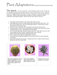 Plant Adaptations in different Biomes