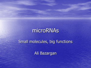 microRNA: microRNA