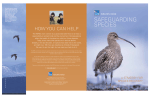 Safeguarding Species - a strategy for species recovery