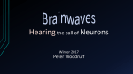Hearing the Call of Neurons PowerPoint
