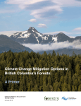 Climate Change Mitigation Options in British Columbia`s Forests: A