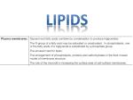 8 Lipids, phospholipids and cell membranes