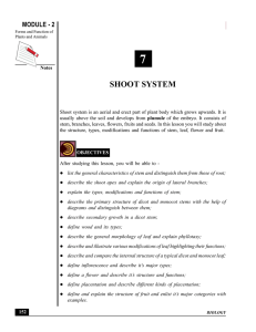 SHOOT SYSTEM