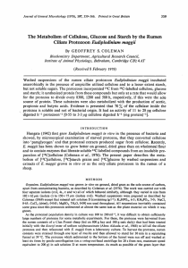 The Metabolism of Cellulose, Glucose and Starch by