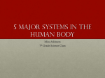5 Major Systems in the Human Body