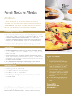 Protein Needs for Athletes