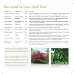 Boulevard Gardens: Small Trees - University of Minnesota Extension