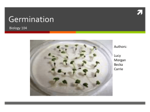 Germination