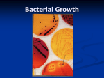 Bacterial Growth - Belle Vernon Area School District