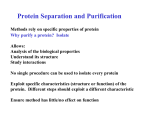 Protein Separation and Purification