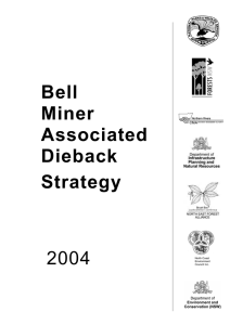 Bell Miner Associated Dieback Strategy 2004