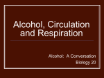 Alcohol, Circulation and Respiration
