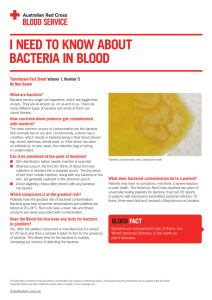 I need to know about bacteria in blood