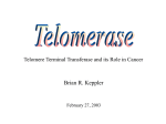 The Telomere