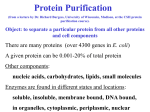 Current Approaches to Protein Purification Richard