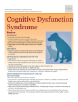 cognitive_dysfunction_syndrome