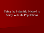 Using Scientific Method to Study Wildlife Populations