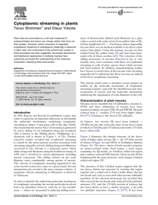 Cytoplasmic streaming in plants