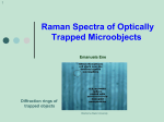 Raman Spectra of Optically Trapped Microcomplexes