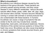 brucellosis - Catherine Huff`s Site