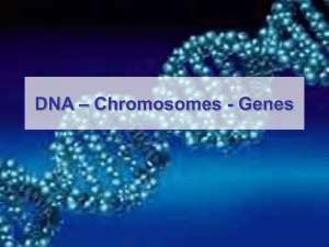 DNA – Chromosomes - Genes - Science