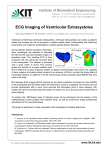 ECG Imaging of Ventricular Extrasystoles