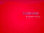 morphine - KatelynBattochio