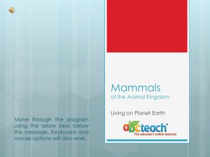 Mammals - ABCTeach