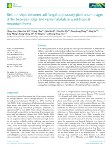 Relationships between soil fungal and woody plant assemblages