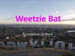 PPT Weetzie Bat