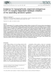 Evidence for topographically organized endogenous 5‐HT‐1A