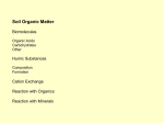 Presentation 3 Organic Matter