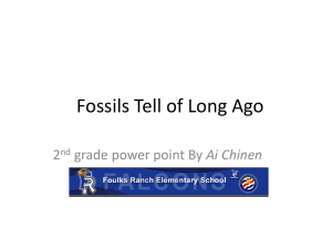 Fossils Tell of Long Ago - Open Court Resources.com