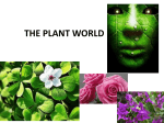the plant world