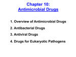 Chapter 10: Antimicrobial Drugs